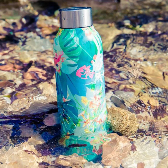 Quokka Stainless Steel Bottle - Solid Version